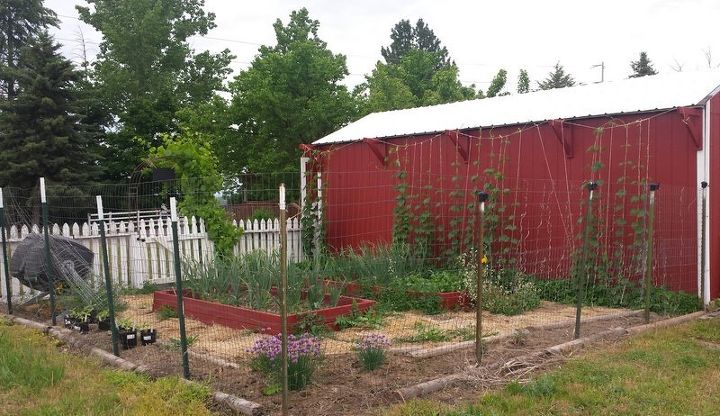 reforma total galpo de jardim banco de vasos e um novo lar para minhas ervas