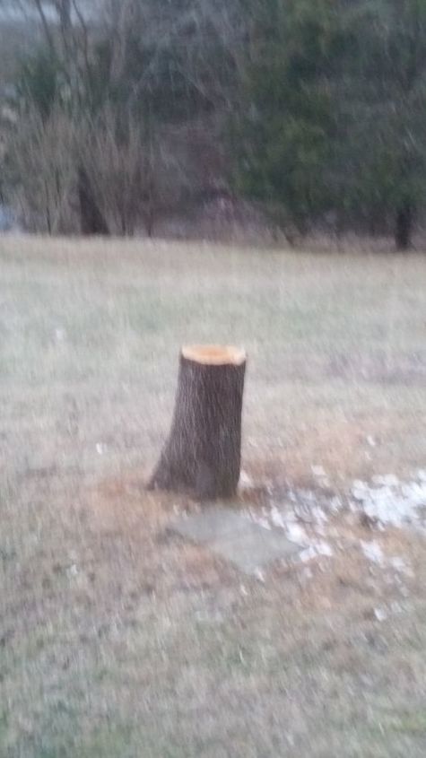 alguma ideia de como usar este toco em um projeto de jardim