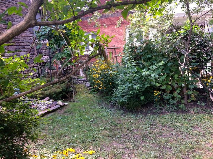 q how to create four season yard privacy between neighbours