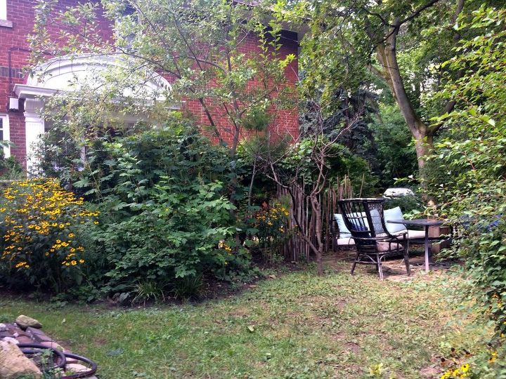 q how to create four season yard privacy between neighbours