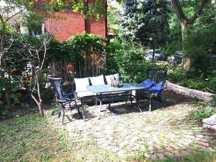 q how to create four season yard privacy between neighbours