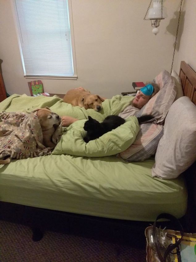 how can i build a dog bed off the side of our bed for 2 dogs