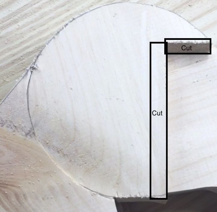 make your own mounted deer head