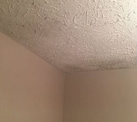 how do you remove mold from bathroom textured ceiling
