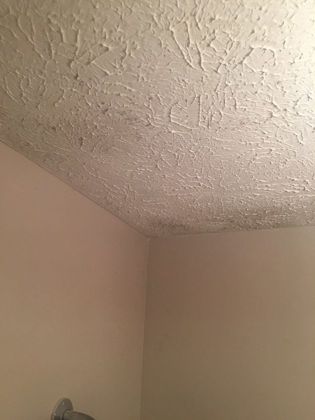 How Do You Remove Mold From Bathroom Textured Ceiling Hometalk - How To Remove Mold From Bathroom Ceiling With Hydrogen Peroxide