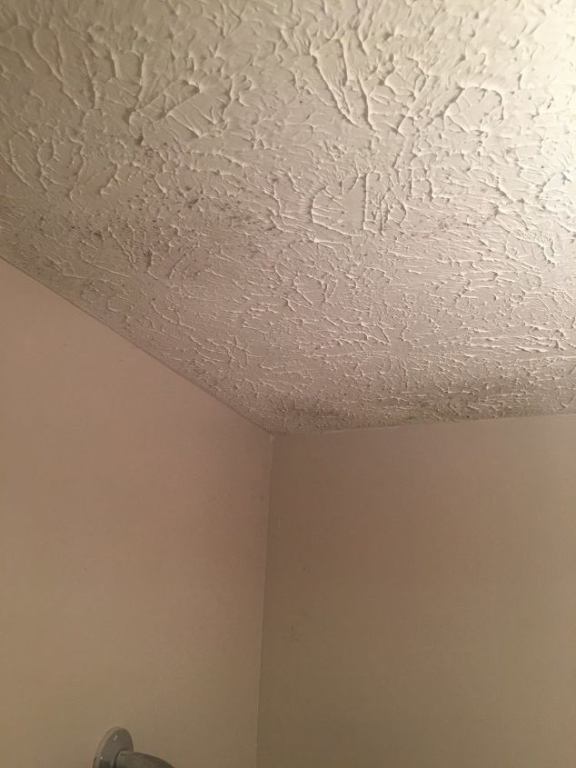 How Do You Remove Mold From Bathroom Textured Ceiling