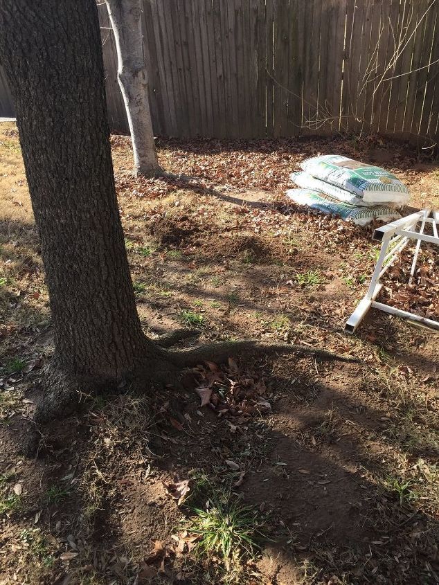 q making a shade garden