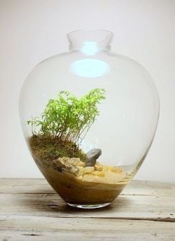 q how to make this terrariums