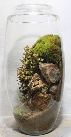 q how to make this terrariums
