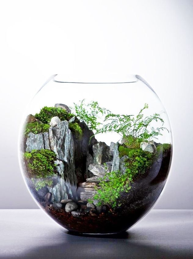 q how to make this terrariums