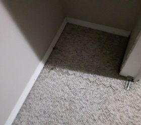 houzz master bedroom carpet