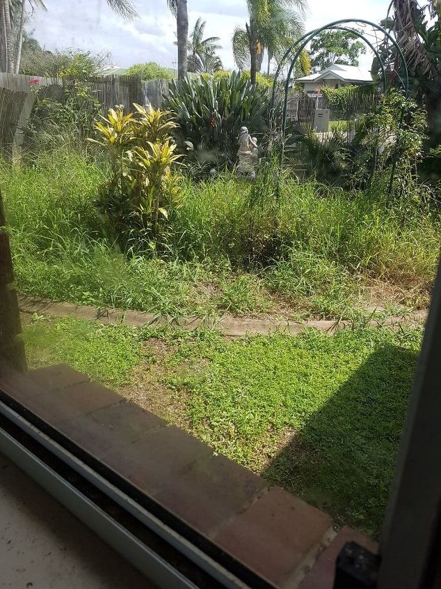 q how to fully remove weeds from rose gardens