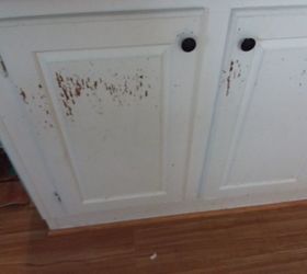 q have prefab cabinets and tried to paint them but paint won t stay on