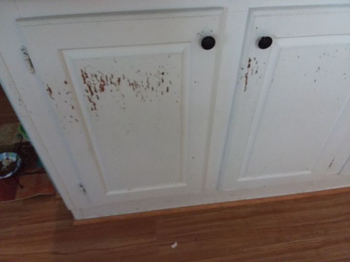 q have prefab cabinets and tried to paint them but paint won t stay on