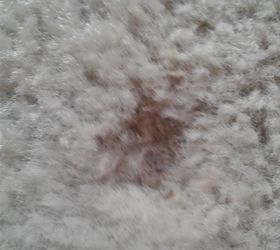 out out burn mark on my carpet