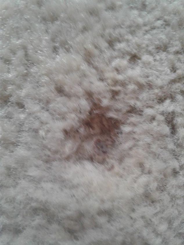 out out burn mark on my carpet
