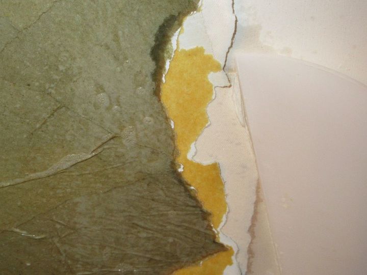 moldy old wallpaper