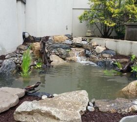 patio pond renovation in rye ny