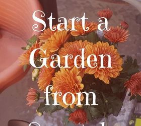 Cómo empezar un jardín desde cero