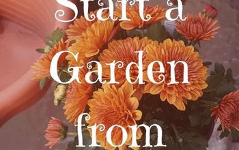 Cómo empezar un jardín desde cero