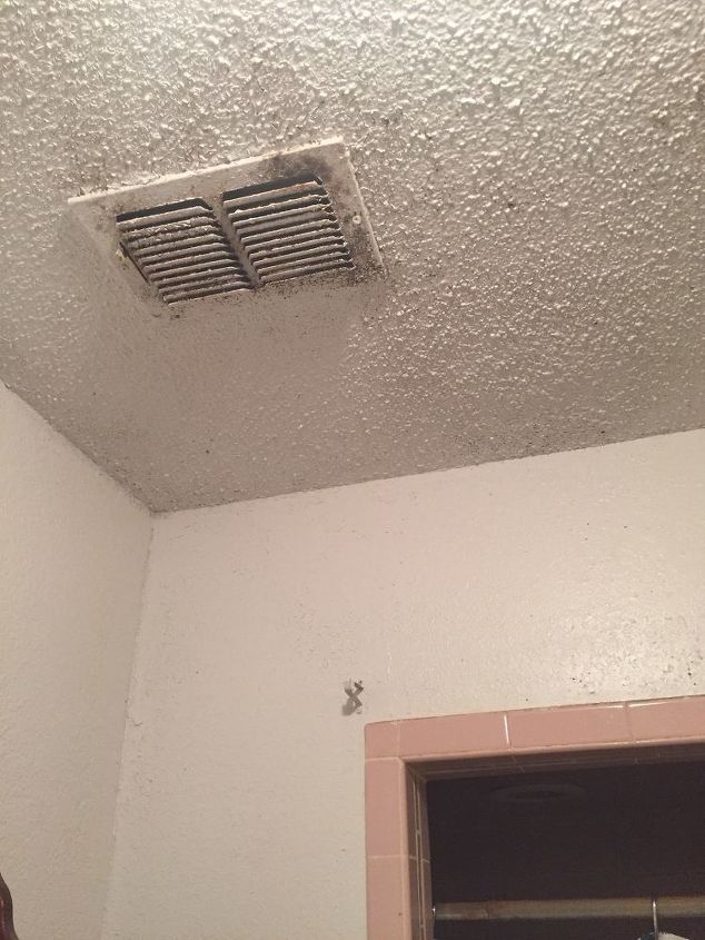 q how do i remove mold from my wall and ceiling in the bathroom