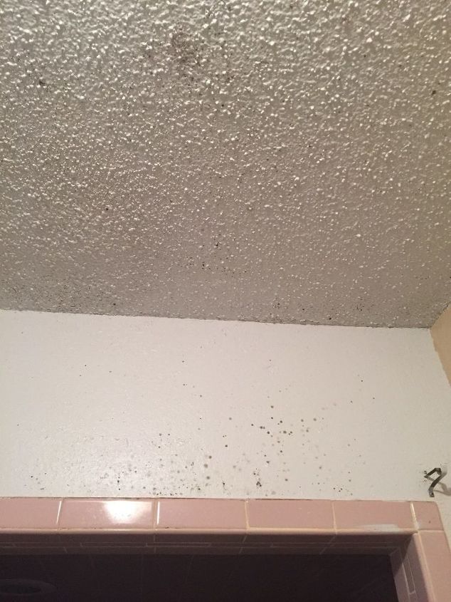 q how do i remove mold from my wall and ceiling in the bathroom
