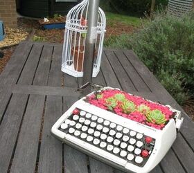 garden junk typewriter with succulents