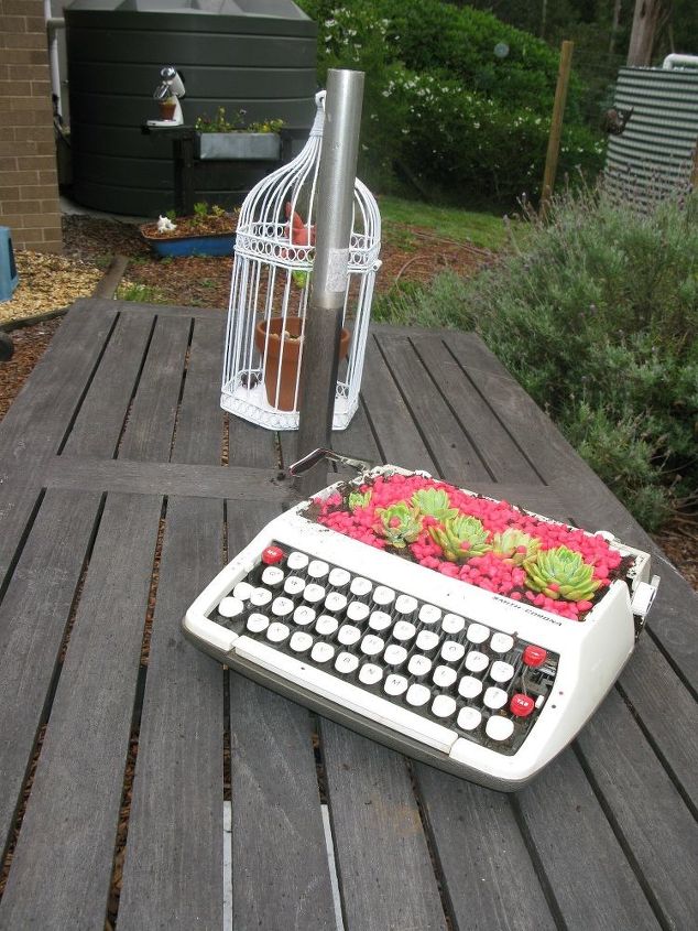 garden junk typewriter with succulents