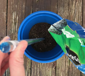 3 absolutely adorable ways to display your plants, Step 2 Fill pot with soil insert rod