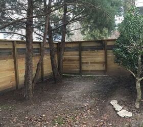 What to do with a corner in my yard? Hometalk