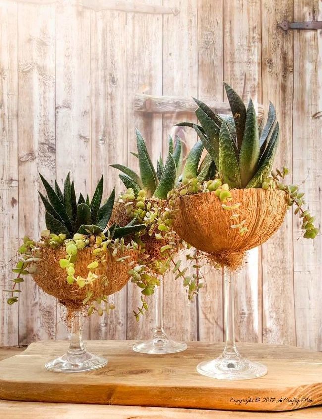 broken wine glasses turned into coconut planters
