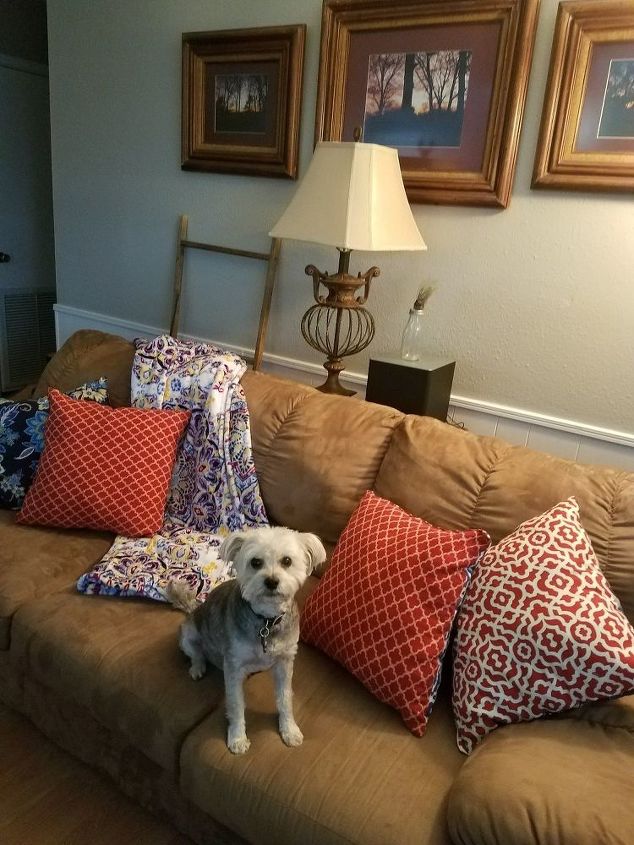 fabulous fabric facelift, The dog approves