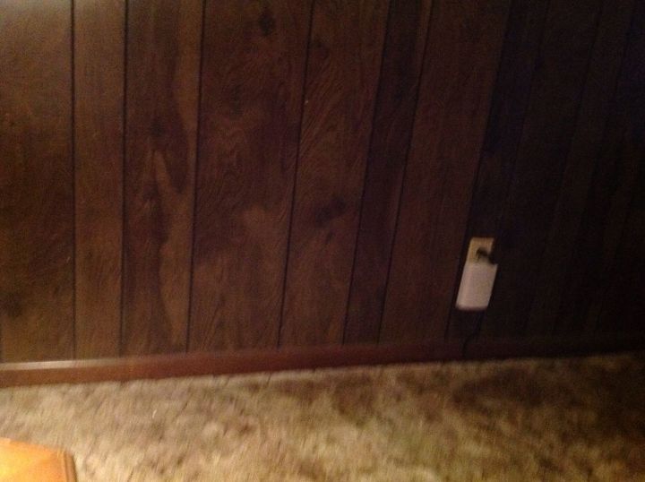 q dark paneled walls