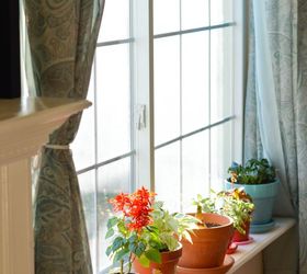 removable window shelf for plants
