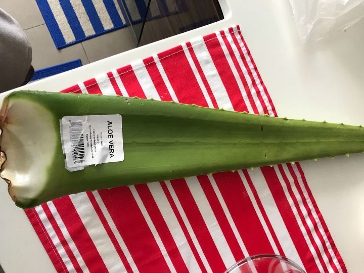 q how do i replant aloe vera