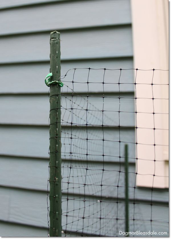 reuse twist ties to make this thrifty netting fence for your garden