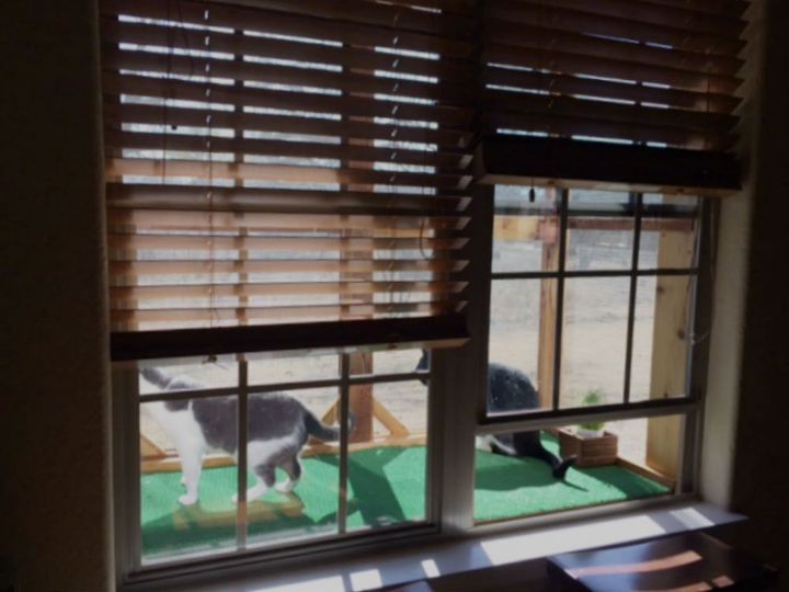 catio all done at least mostly so