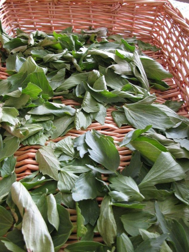 dry herbs without a dehydrator
