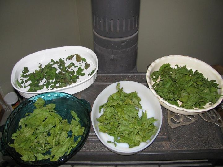 dry herbs without a dehydrator