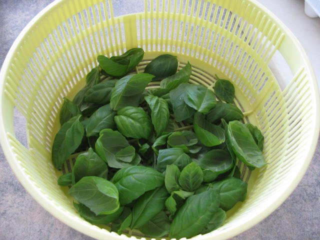 dry herbs without a dehydrator