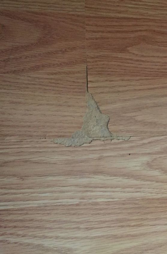 Can I Fix Laminate Flooring That Has Chipped And Peeled On