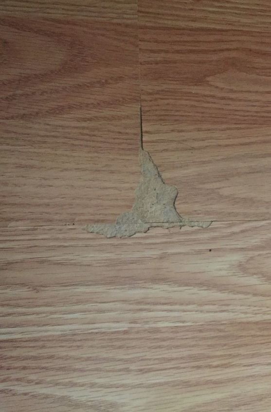 Can I Fix Laminate Flooring That Has Chipped And Peeled On The Top