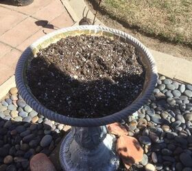want to fill a birdbath with succulents should i drill holes for drain