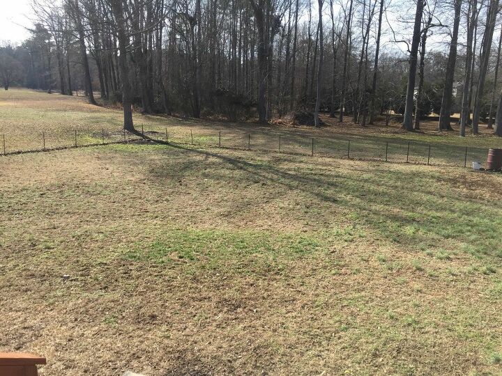 q backyard issue