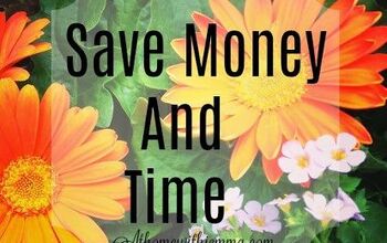 Cómo ahorrar dinero comprando plantas adecuadas para jardines y macetas