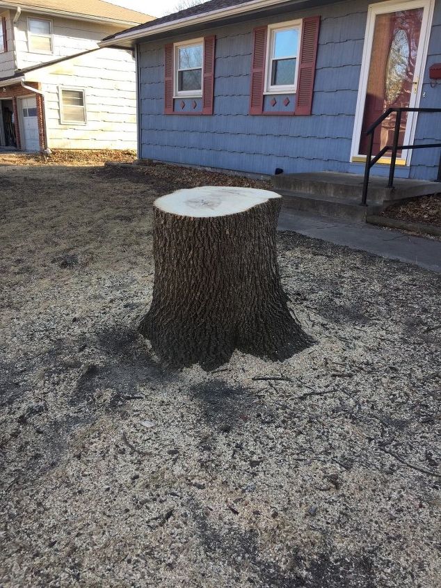 q any ideas of what to do with a tree stump
