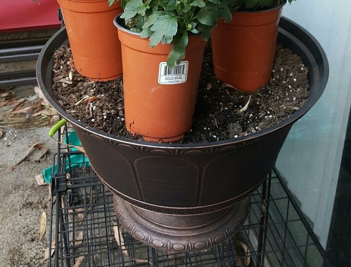 outdoor flower pot arrangments