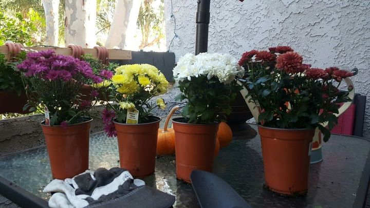 outdoor flower pot arrangments