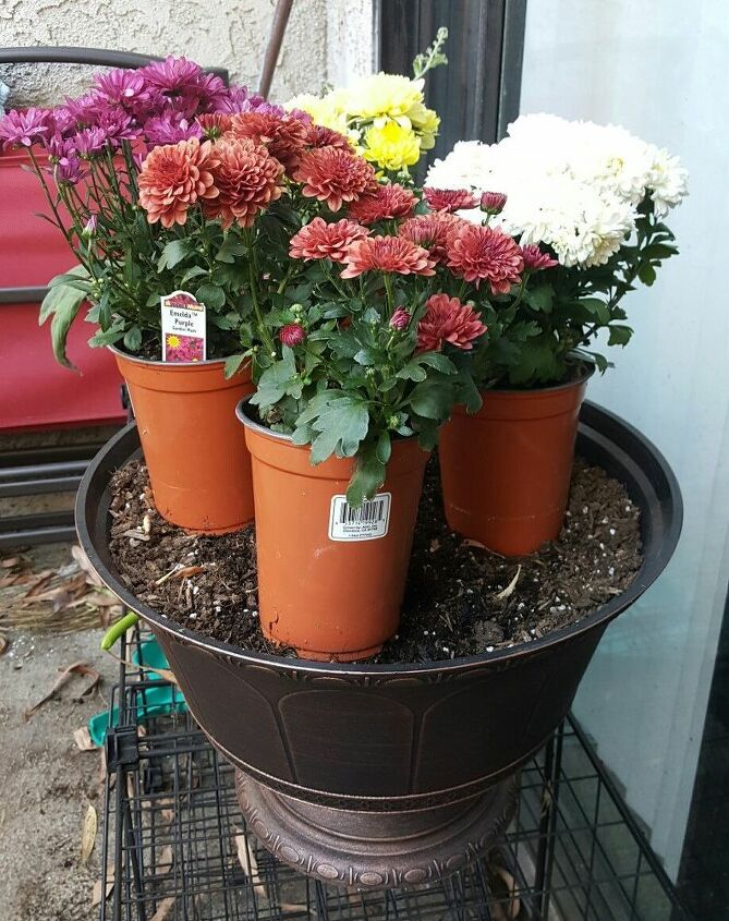 outdoor flower pot arrangments