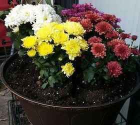 outdoor flower pot arrangments